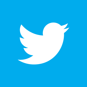 twitter - official twitter icon